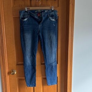 Arizona Jean Company Women's Blue Skinny Jeans